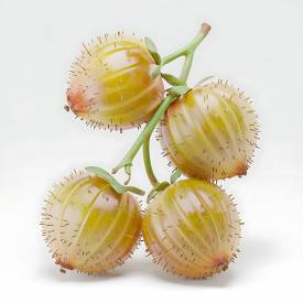 Amla oil, virgin, organic