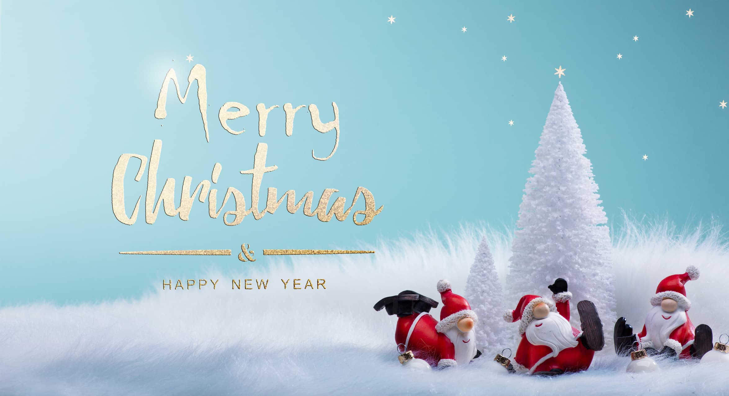 Merry Christmas & Happy New Year