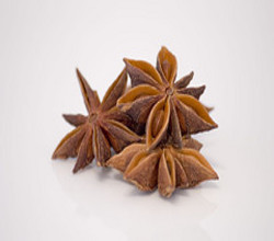 Anise Star essential oil