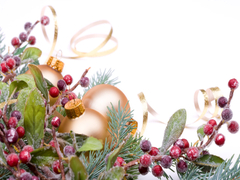 Christmas Berry fragrance oil