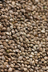 Hemp seed oil, virgin