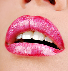 Lip Balm Kit