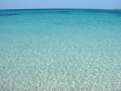 Sea Fresh fragrance oil