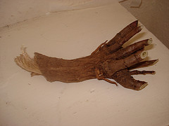 Valerian root essential oil