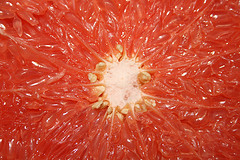 Grapefruit, white, essential oil