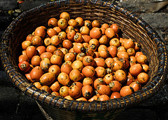 Tucuma butter